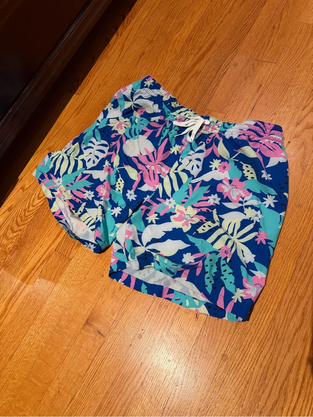 Chubbies Men’s Bathing Suit
